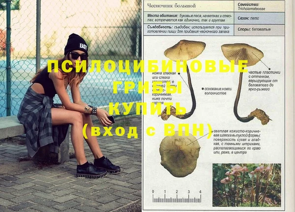 гидропоника Алексеевка
